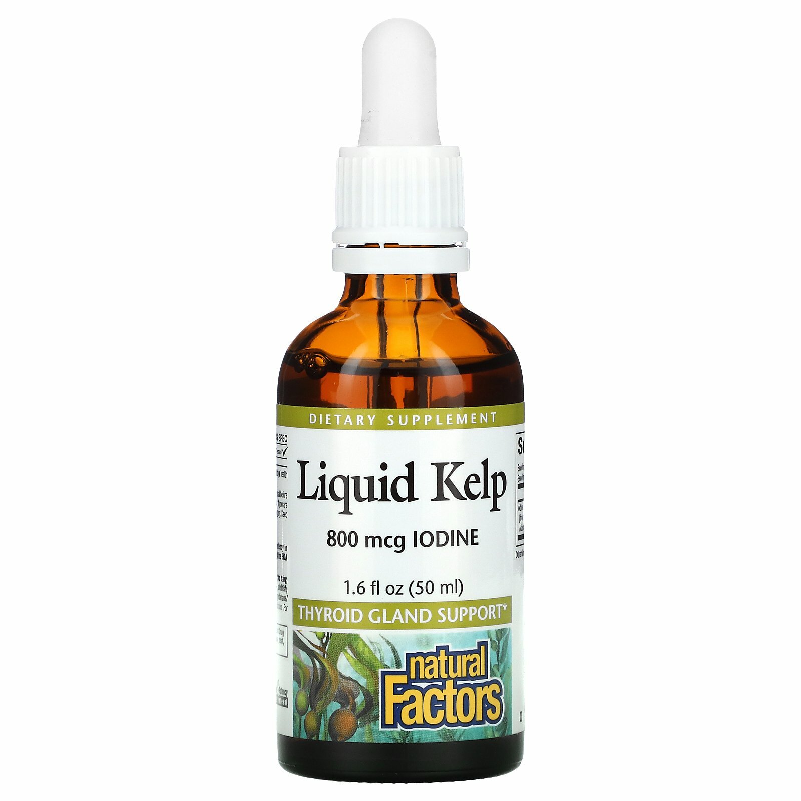 Natural Factors , Liquid Kelp, 800 Mcg, 1.6 Fl Oz (50 Ml) - Image 2