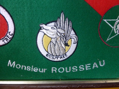 cadre feutrine legion etrangere 1er REC foreign legion nominatifs nominative - Picture 7 of 12