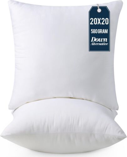 20 x 20 Inches Bed and Couch Pillows - Indoor Decorative Pillow