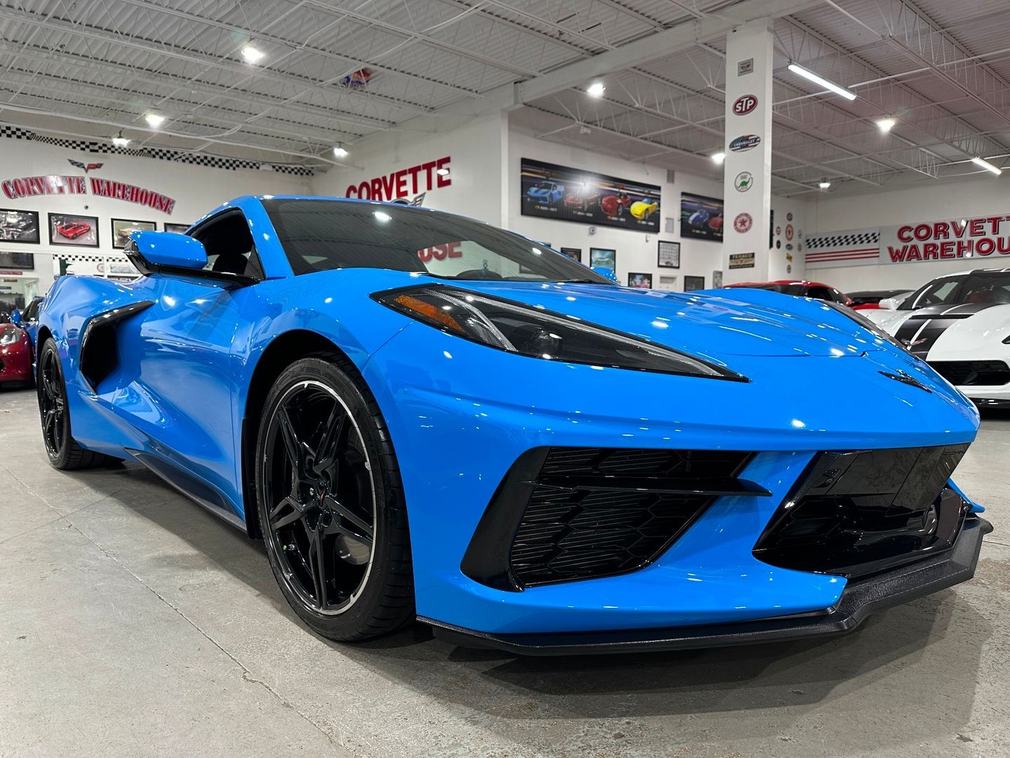 2023 [GMO] Rapid Blue Chevrolet Corvette   | C8 Corvette Photo 6