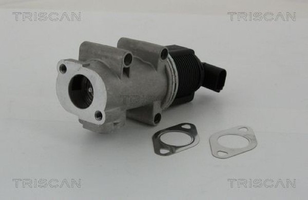 Triscan 881310005 Agr-Ventil AGR Ventil AbgasrüCkfüHrventil-image