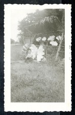 Vintage Photo BOY SITS IN GIANT CLAM SHELL AT ROAD SIDE SOUVENIR SHOP FLA 1957