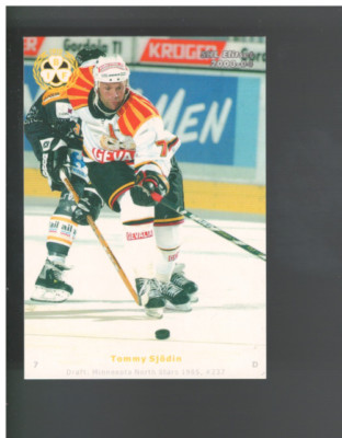 A9065- 2003-04 Swedish Elite Hockey Card #s 1-288 -You Pick- 15+