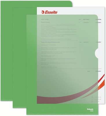Esselte Premium Ordner A4 matt 100er Box transparent grün 54838