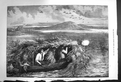 Antiker Druck *3309 1874 Shooting Canvas-Back Ducks Chesapeake Bay Maryland
