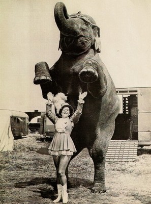Circus Act Artists Performers (Elephant) Photo 8.5x11 Paper Luster Reprint