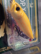Megabass Ito Pop-X Albino Snakehead New Unopened Topwater Lure