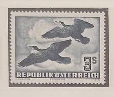 Austria- 1953 - Ptaki 3 szylingi - Kormoran (Phalacrocorax carbo)