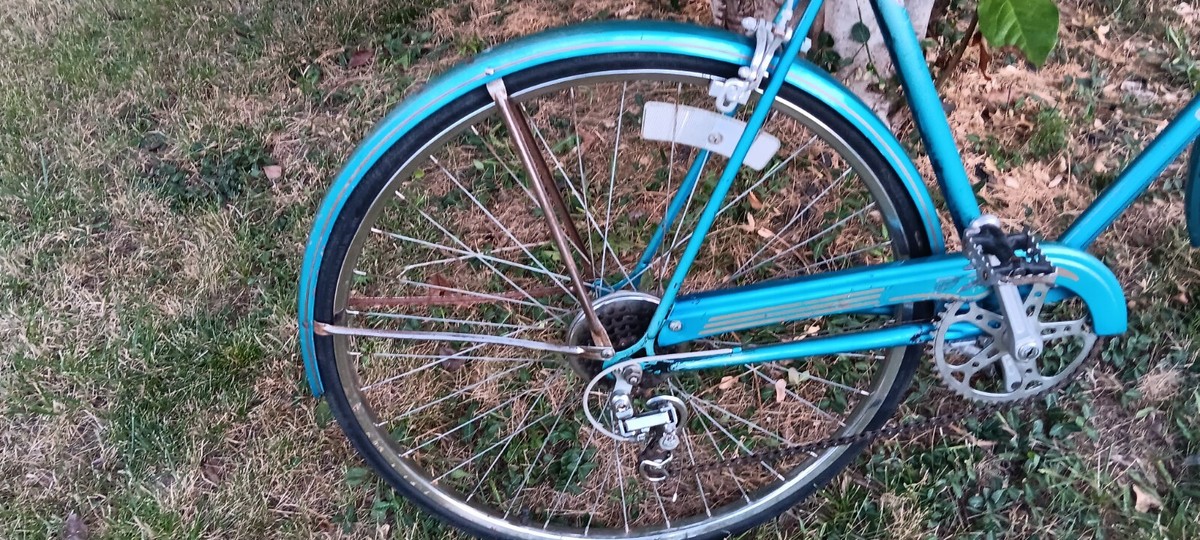 Schwinn World Tourist Vintage Original Mens Bicycle | eBay