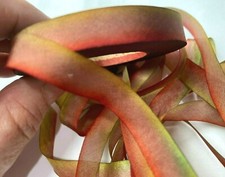 silk hand dyed 7/16" ribbon bias 1yd made in USA italian wall