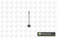 BGA V611982 Auslassventil FüR Mitsubishi