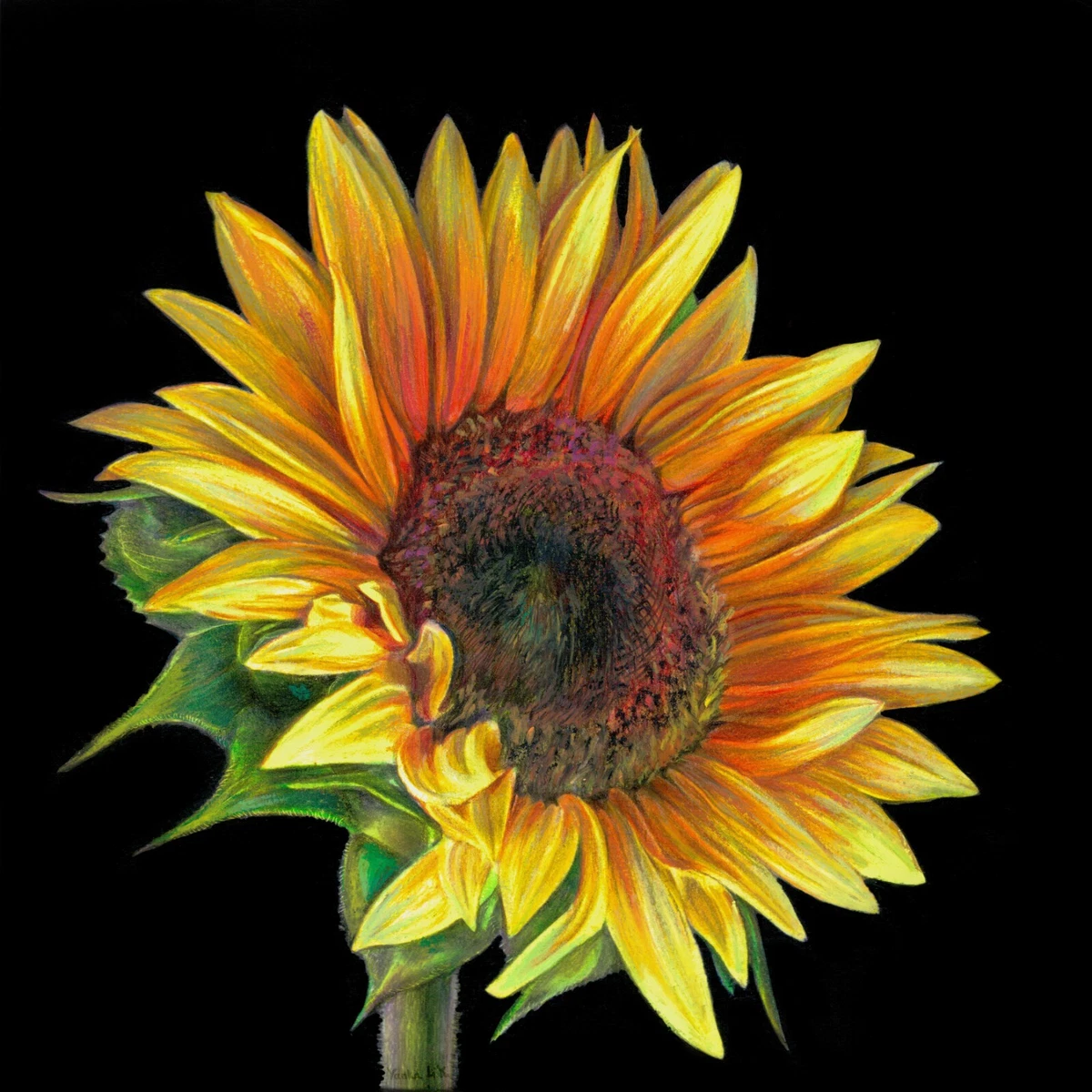 Stylized sunflower with yellow petals and green leaves png download -  1292*1376 - Free Transparent Stylized Sunflower png Download. - CleanPNG /  KissPNG