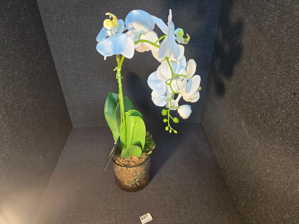 Allstate花卉人造中号Phalaenopsis植物玻璃锅 — 第 2/4 张图片