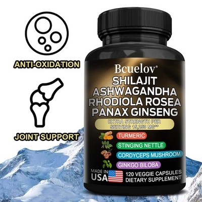 Ginsen Enhance Memory Promote Brain Function Joint Health Supports Immune Aging