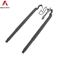 2X Gasfeder Powerlift Elektrisch Heckklappe L+R FüR BMW X4 F26 14-18 51247339431