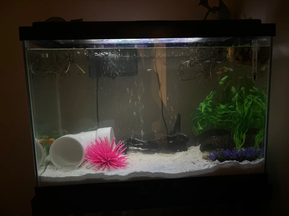 Pecera de 25 galones y soporte con accesorios Foto 4 de 4