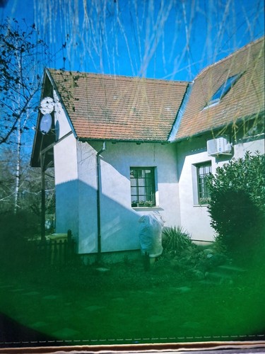Polaroid Professional Chrome 4X5 Color reversal film "ready load", sviluppo E6 - Imagen 5 de 5