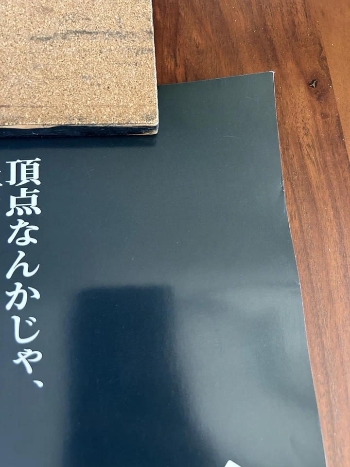 Pride Fc GP06, Full Size B2, Official Poster, Pride FC, UFC - Image 3 of 4