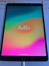 Apple iPad Pro 1st Gen. 10.5 inch 256GB Wi-Fi Silver/Black Tablet Factory Reset