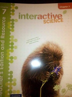 CHAPTER 7, TEACHER'S EDITION AND RESOURCE, GRADE 2 *Excellent Condition*