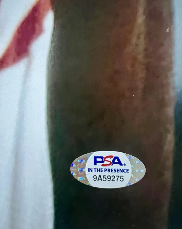 Tim Hardaway Signed Miami Heat 16x20 Photo JSA COA Michael Jordan RARE - Image 3 of 4