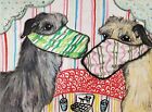 Scottish Deerhound in Quarantine Dog Art Print 5x7 Collectible by Ksams