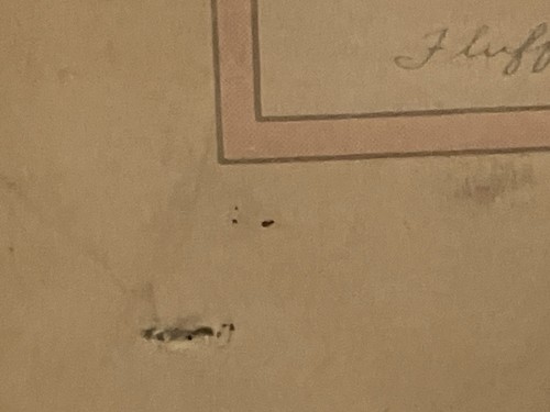 Vintage Meta Pluckebaum "Fluff" KÄTZCHEN KATZE ROSA SCHLEIFE Lithographie Druck handsigniert 9X7 - Bild 12 von 23