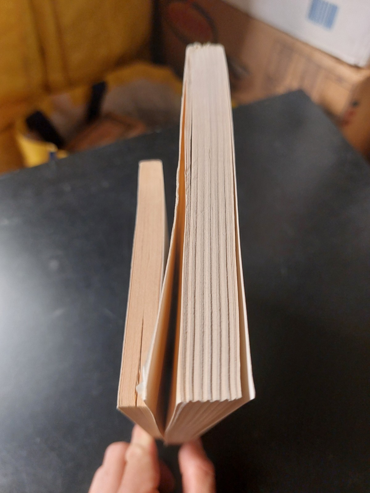 Lotto Libri Dipendenze foto 4
