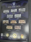 Geelong Cats Official AFL Historical Series Print MCG Premiership Premiers