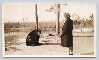 Vintage Photo Woman Looking at Appalachian Black Bear by Warning Sign
