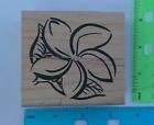 Bild 625 von 845