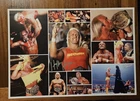 Hulk Hogan signed WWE WWF autographed photo with COA Val cert+ph proof