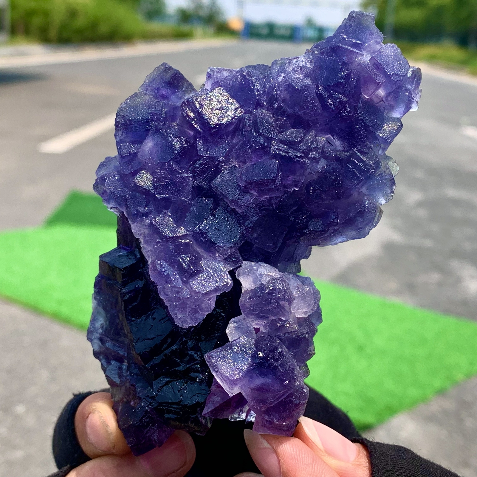 264G Rare Transparent Purple Cubic Fluorite Crystal Specimen from China