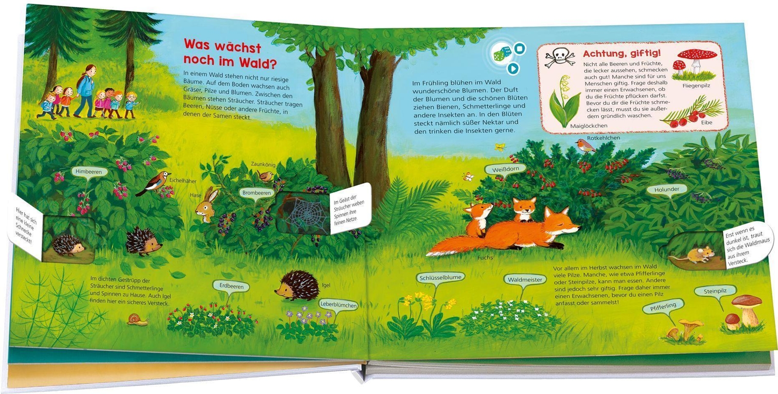 Thumbnail - Bookii Was Ist Was Kindergarten Entdecke Den Wald | Andrea
