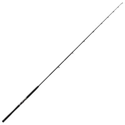 Bullseye Nazgul Wallerrute Welsrute Steckrute Angelrute Carbonrute Rute Schwarz - Bild 1 von 4