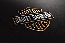HARLEY DAVIDSON MOTORCYCLES STRETCHED CANVAS WALL ART READY TO HANG CP369