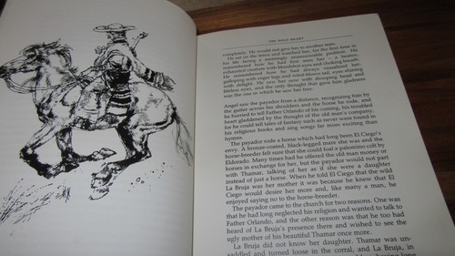 Horse and Pony Stories ~ Christine Pullein. HbDj Sewell O’Hara Henry in MELB - Picture 7 of 12