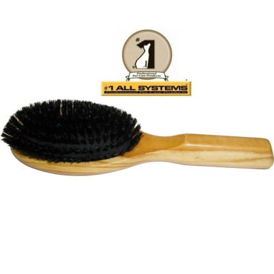 cat bristle brush