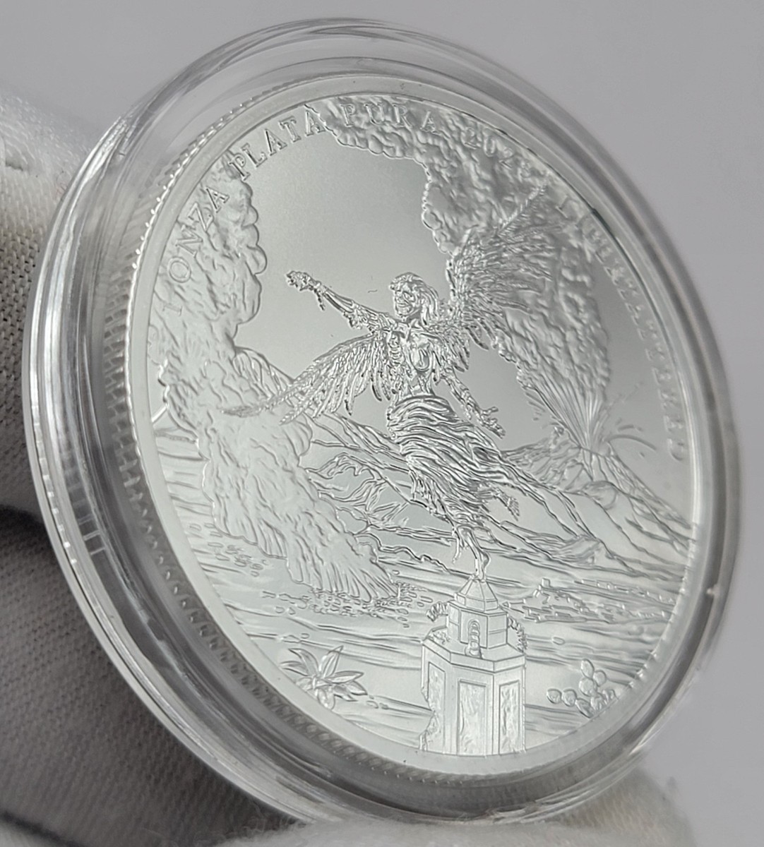 Zombucks World Libertattered 1 oz .999 Fine Silver Round | eBay