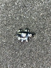 paparazzi jewelry Kids Ring