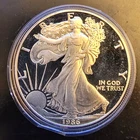 1986-S American Eagle Proof Toned Walk Liberty Bullion-0.999 Silver 1 Oz Coin 4r