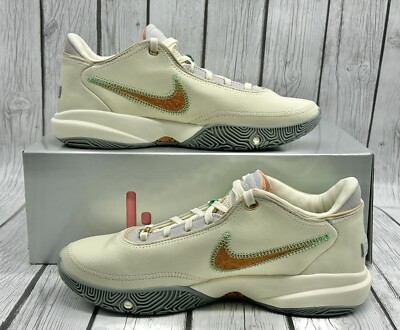Nike x Florida A&M Uni x LeBron 20 From Tally To The World  display picture 3