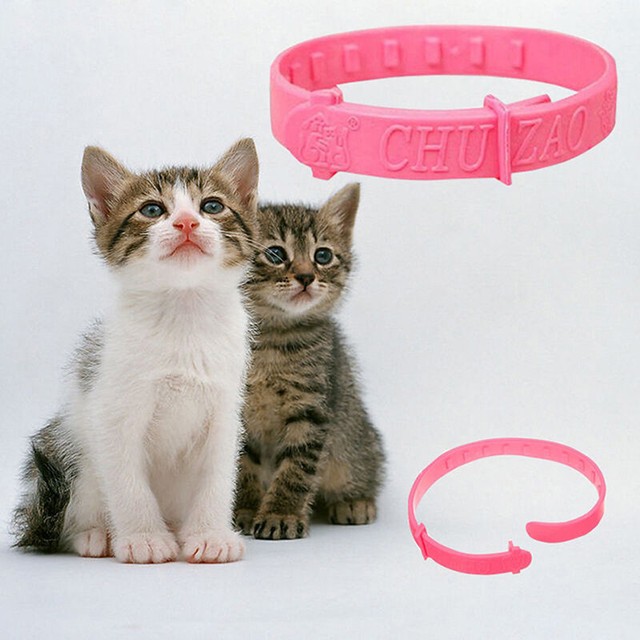 ebay cat flea collars
