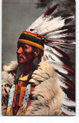 Standing Wolf~NATIVE AMERICAN INDIAN Publ;Edward Mitchell Postcard Wyoming WY-L2