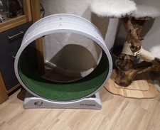 Katzen Laufrad zu Verkaufen