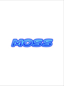 TAITO/MOSS 2007 RAIDEN IV Type X Arcade PCB JAMMA Hard Disk Dongle Only Working