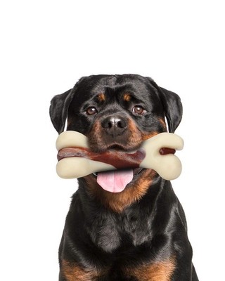 Indestructible Dog Chew Toys for Aggressive Chewers, Beef Flavor Durable Dog ...