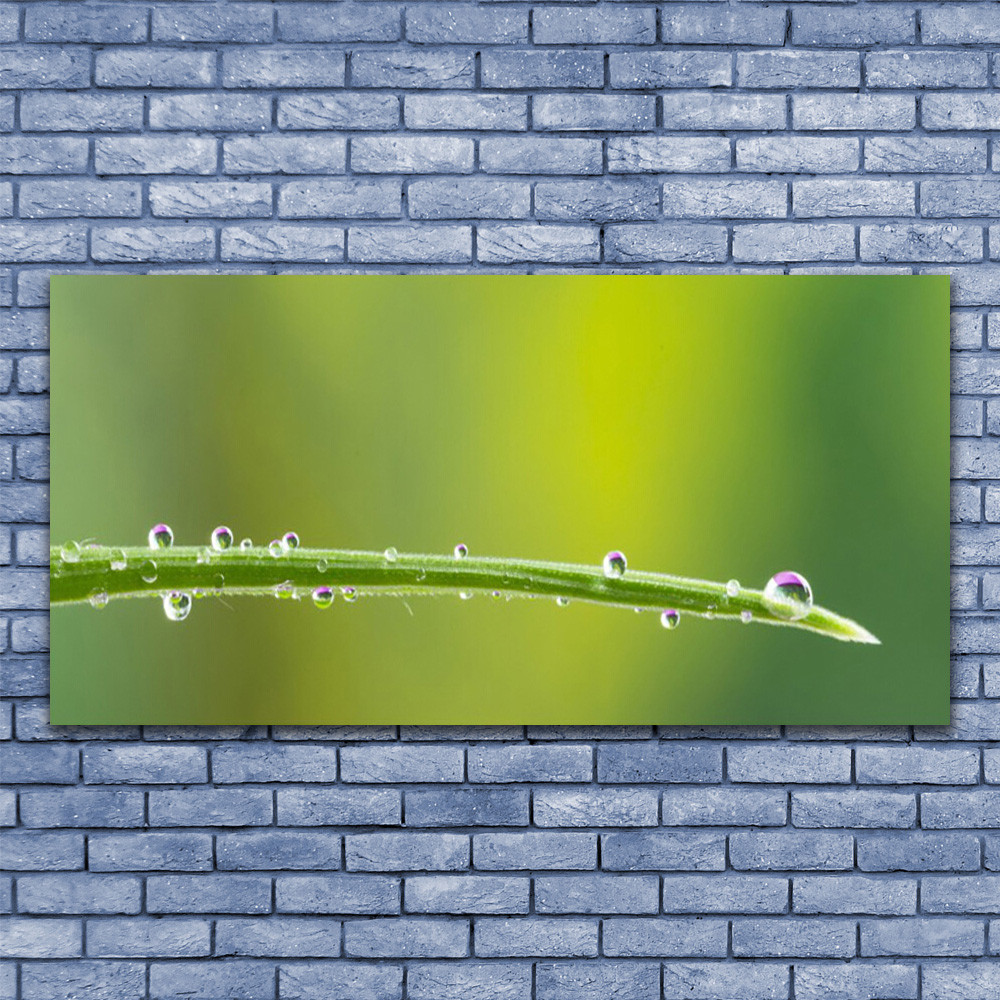Tableau plexiglas floral 140x70 décoration murale nature herbe rosée