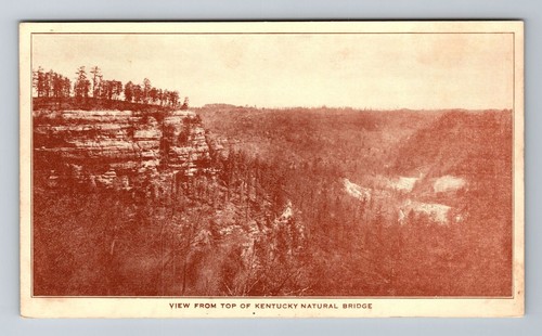 KY-Kentucky, Blick von der Spitze der Kentucky Natural Bridge, antike Vintage Postkarte