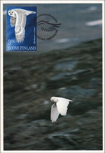 Snowy Owl Large White Arctic Bird  Bubo Scandiacus Finland Maxi FDC Card 1998